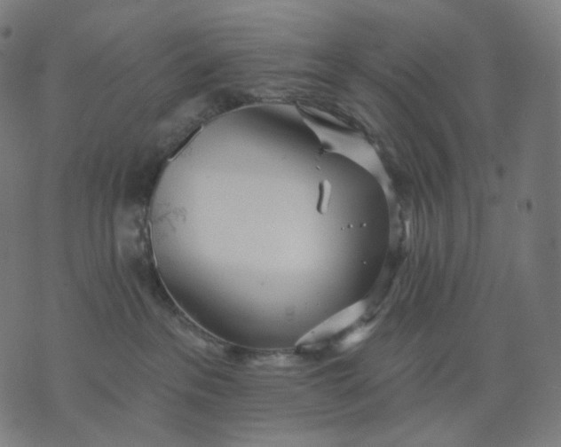 X0000070360237200606231630