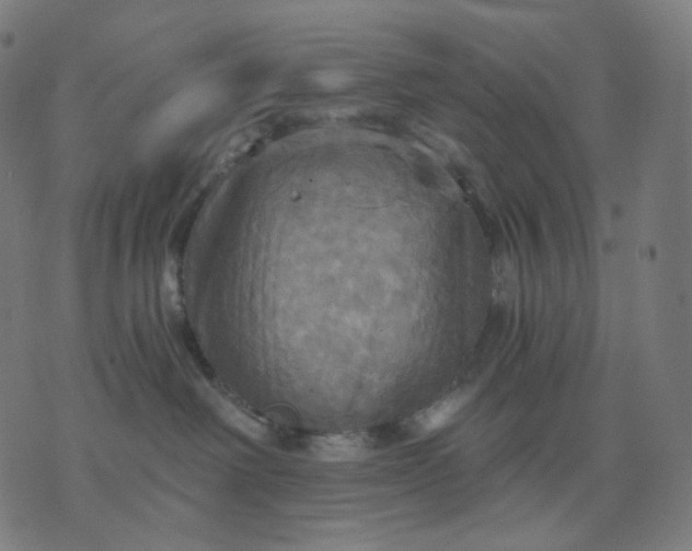 X0000070360238200606231630