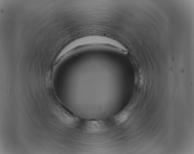 X0000070360239200606231630