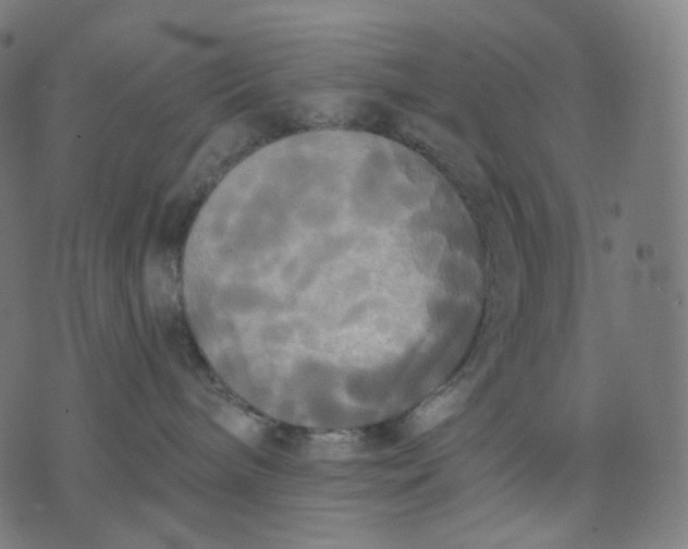 X0000070360240200606231630