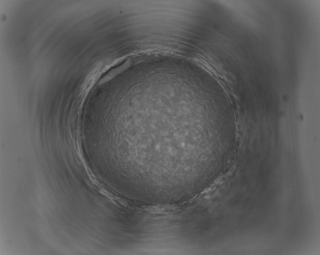 X0000070360241200606231629