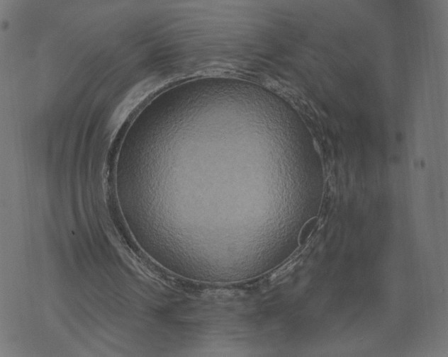 X0000070360242200606231629