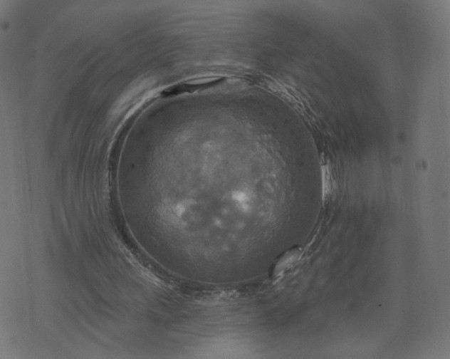 X0000070360243200606231629