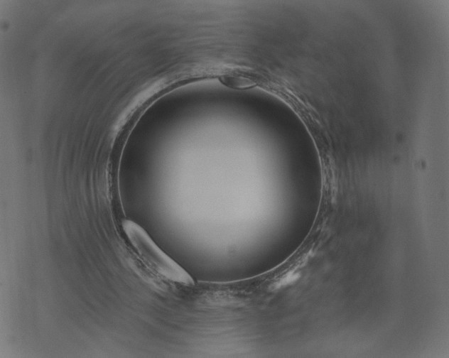 X0000070360244200606231629