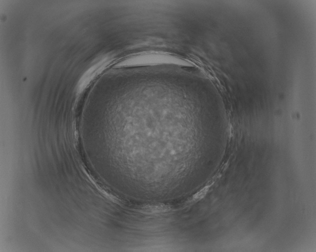 X0000070360245200606231629