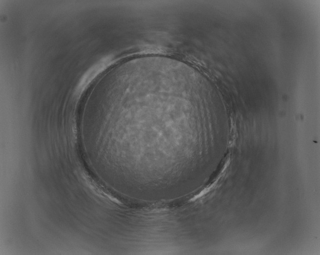 X0000070360247200606231629