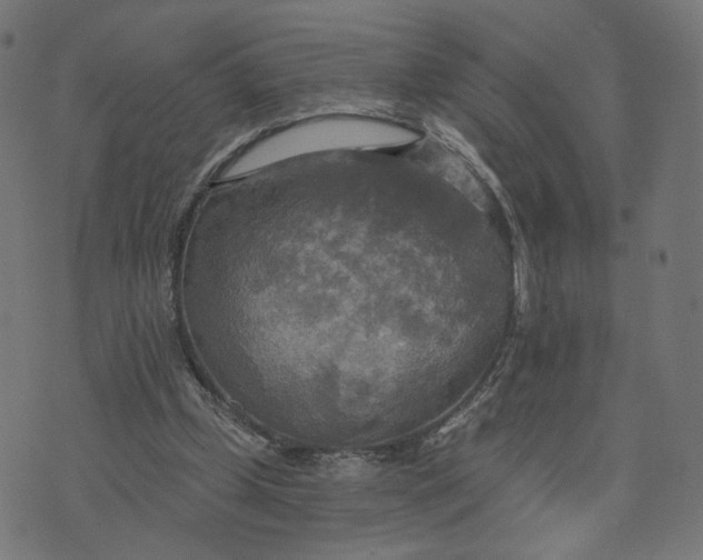 X0000070360249200606231629