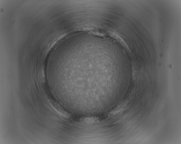 X0000070360251200606231629