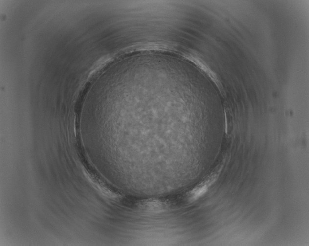 X0000070360253200606231629