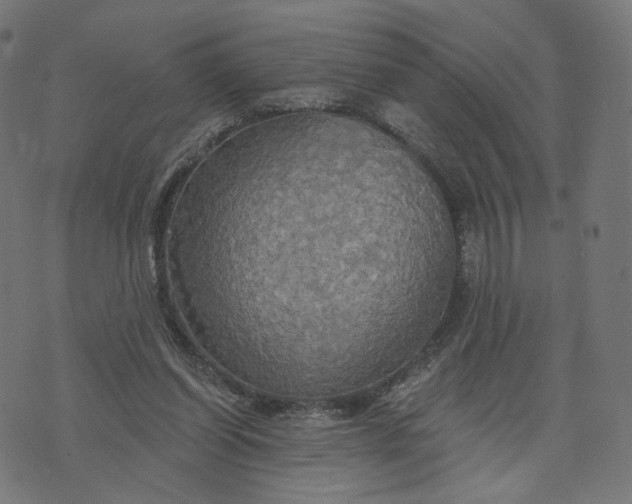 X0000070360254200606231629