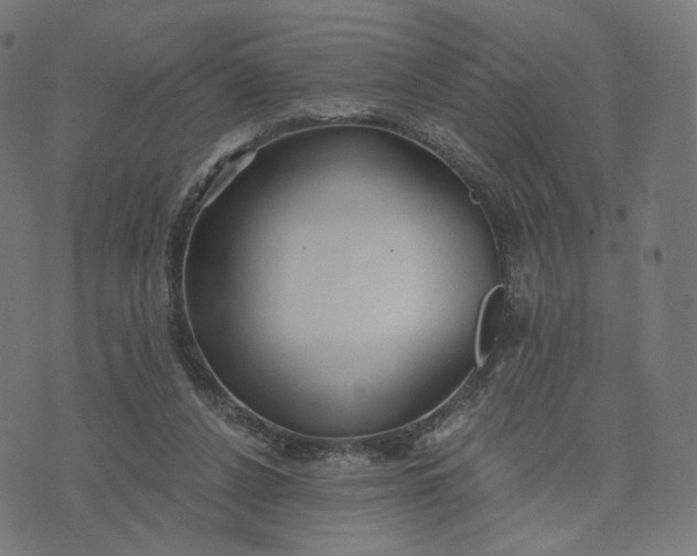 X0000070360256200606231629