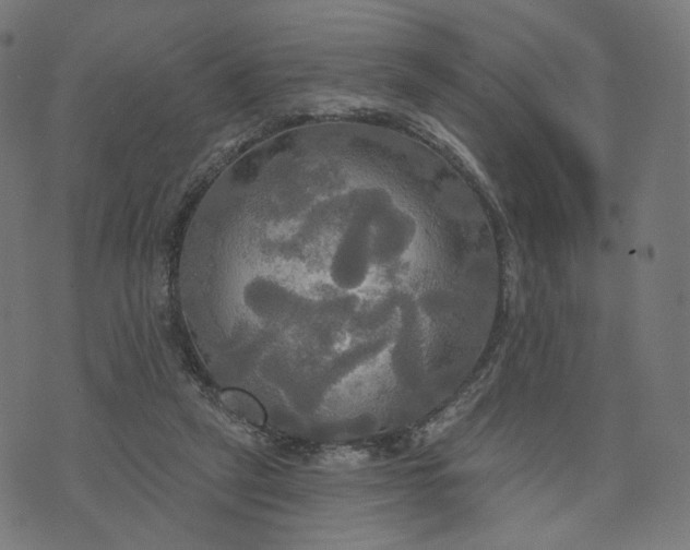 X0000070360257200606231629