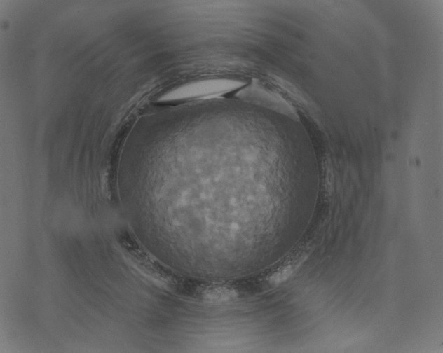 X0000070360258200606231629