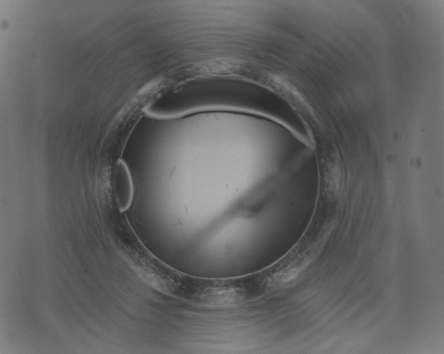 X0000070360260200606231629