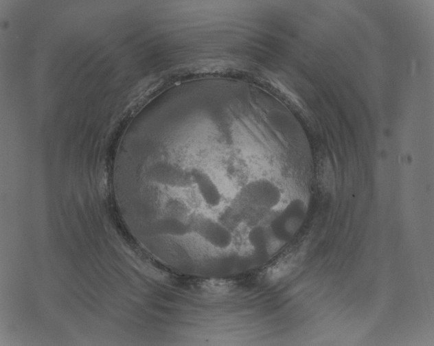 X0000070360261200606231629