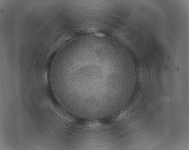 X0000070360262200606231630