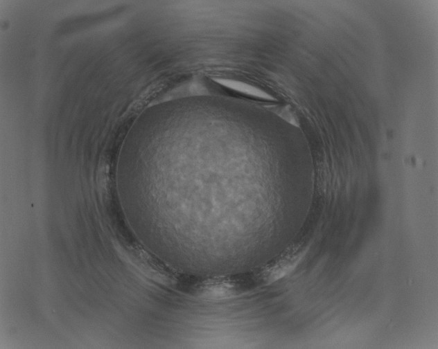 X0000070360263200606231630