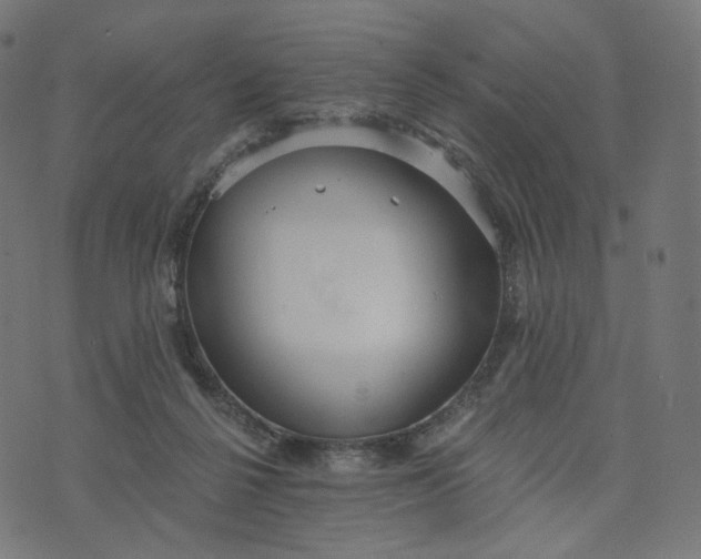 X0000070360264200606231630