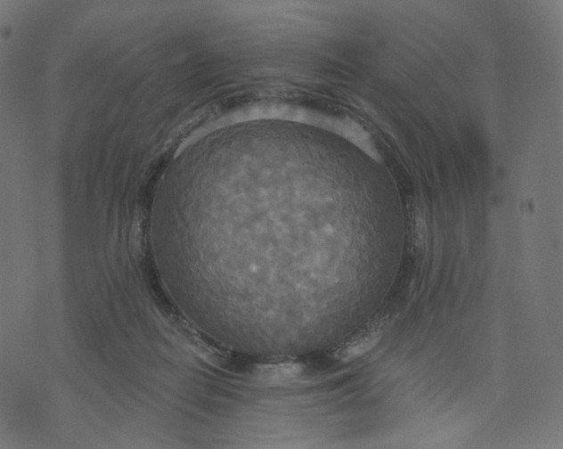 X0000070360266200606231630