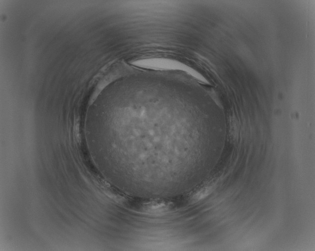 X0000070360267200606231630