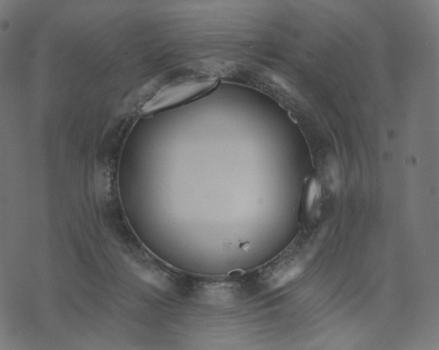 X0000070360268200606231630