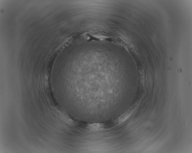 X0000070360269200606231630