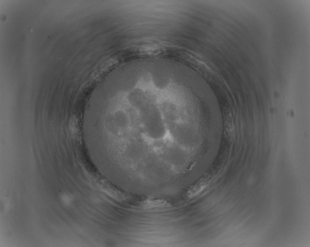 X0000070360270200606231630