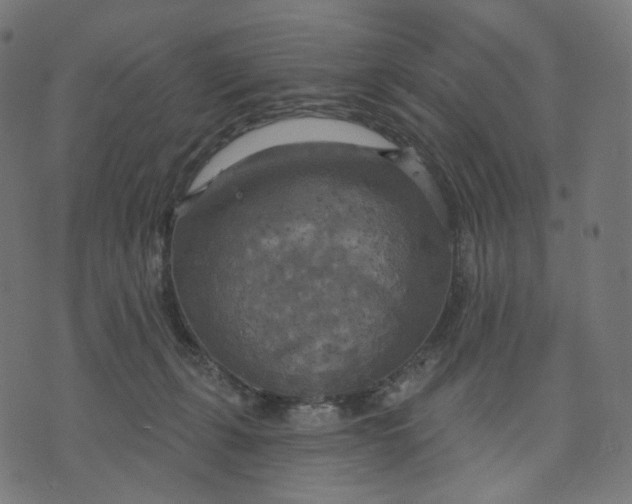 X0000070360271200606231630