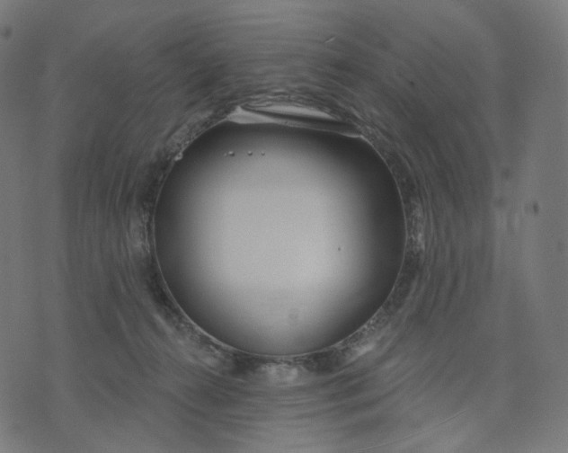 X0000070360272200606231630