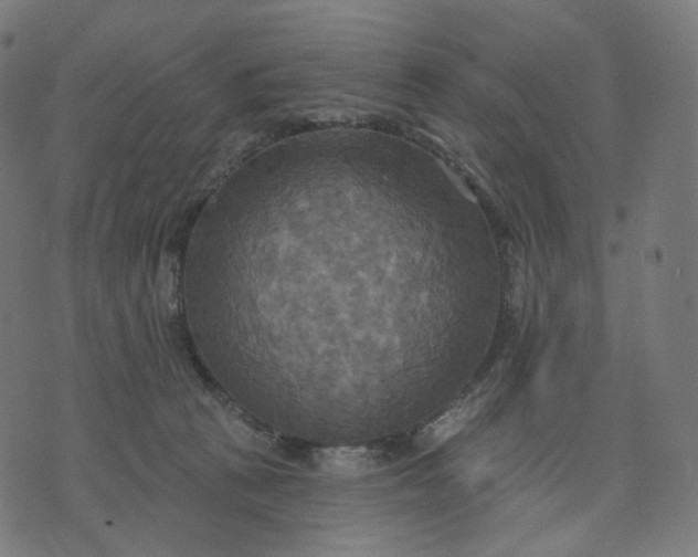 X0000070360273200606231630