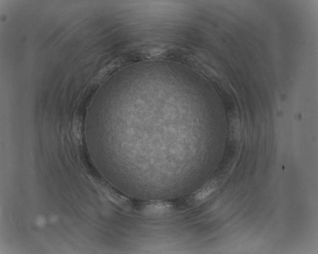 X0000070360274200606231630