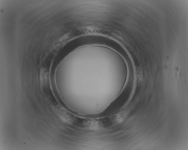 X0000070360276200606231630