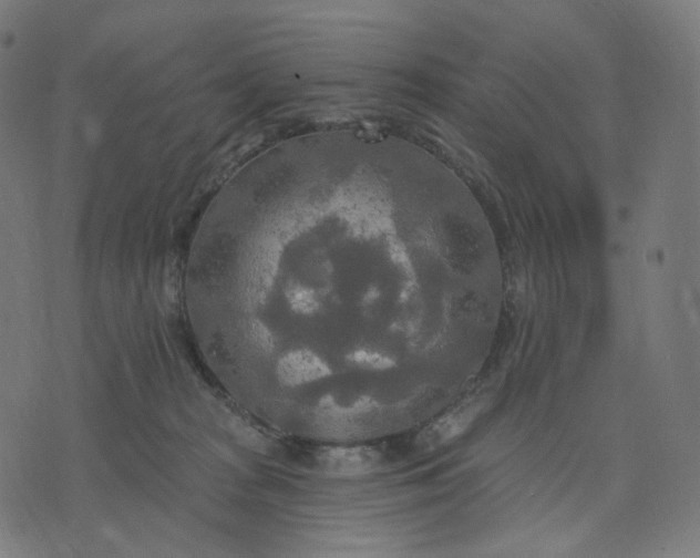 X0000070360277200606231630