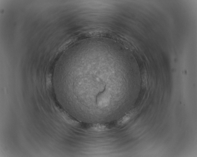 X0000070360278200606231630