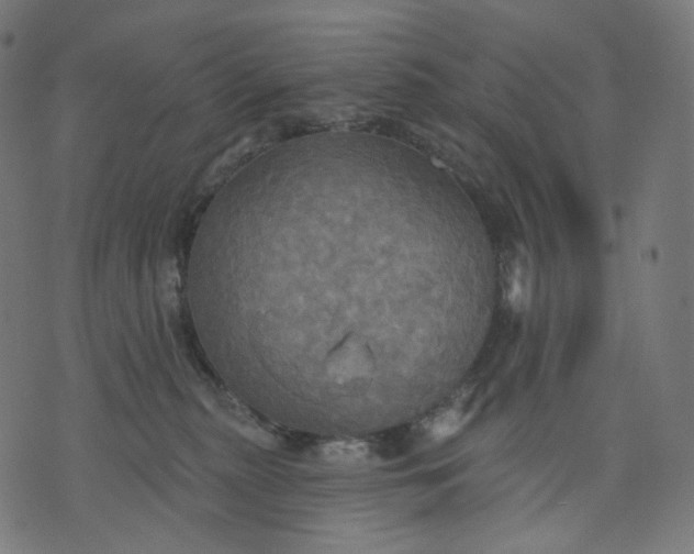 X0000070360279200606231630