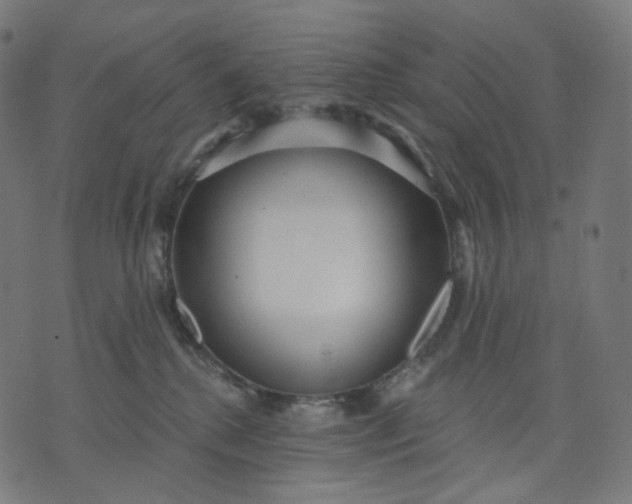 X0000070360280200606231630