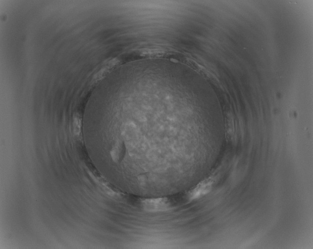 X0000070360281200606231630