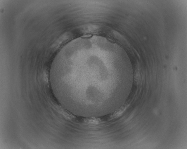 X0000070360282200606231630