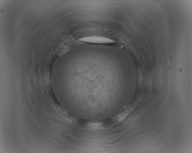 X0000070360283200606231630