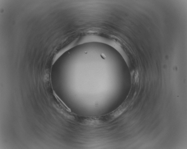 X0000070360284200606231630