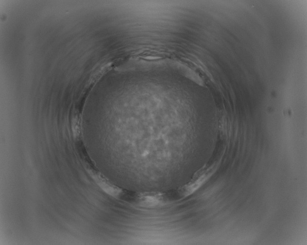 X0000070360285200606231630