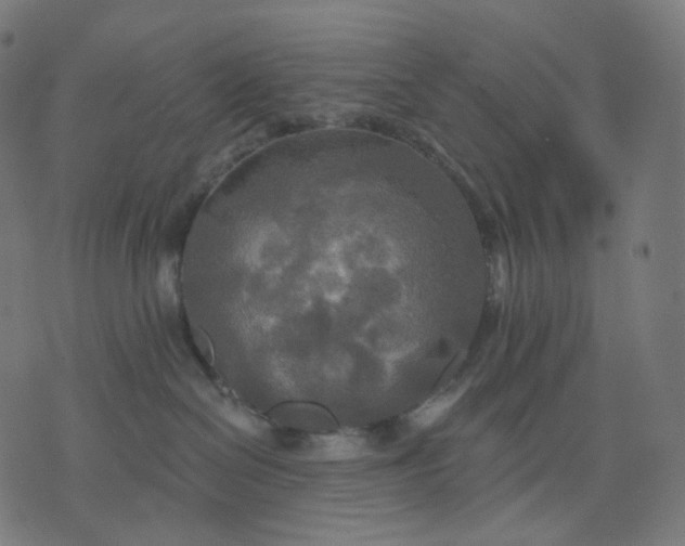 X0000070360286200606231630