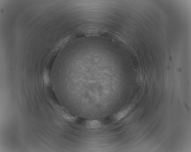 X0000070360287200606231630