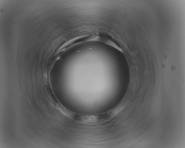 X0000070360288200606231630