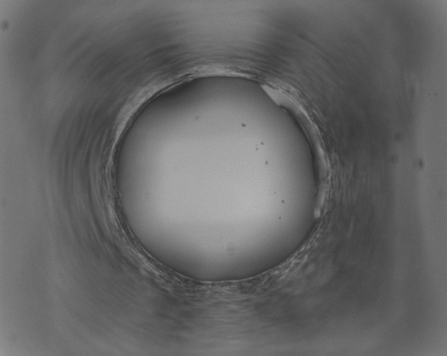 X0000070360289200606231629