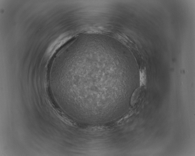 X0000070360291200606231629