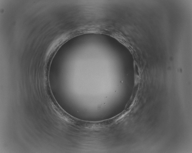 X0000070360293200606231629