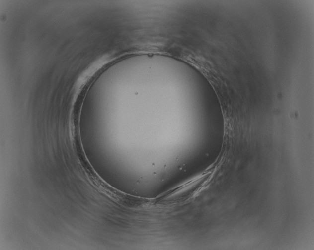 X0000070360294200606231629