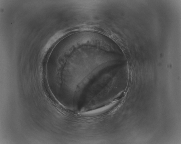 X0000070360295200606231629