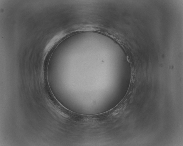 X0000070360296200606231629